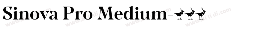 Sinova Pro Medium字体转换 Sinova Pro Medium字体转换